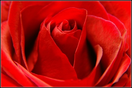 Red is the color of love.