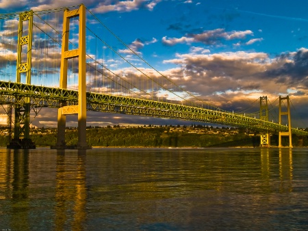 ~Tacoma Narrows Bridge's~