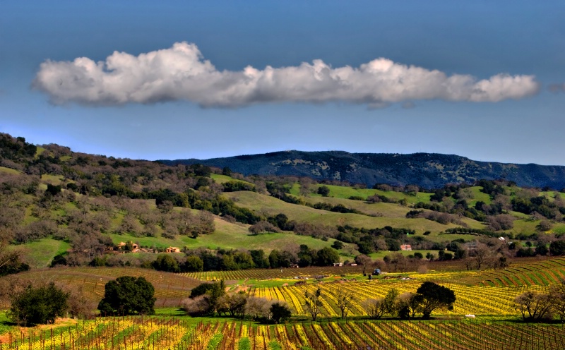 Clouds over Napa Valley - ID: 9823855 © Clyde Smith