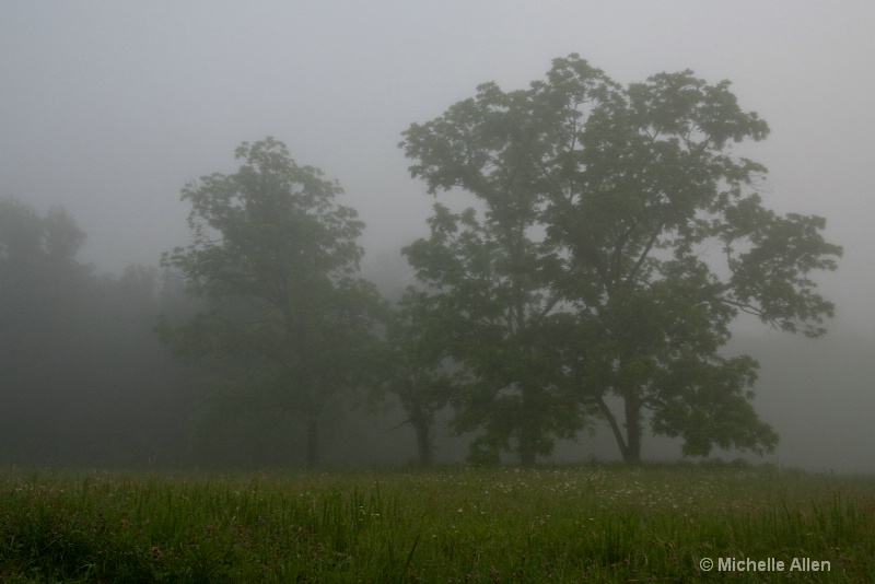 Morning in the Smokies