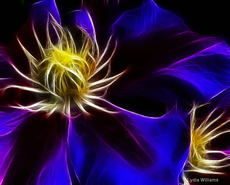 Clematis Fractalized