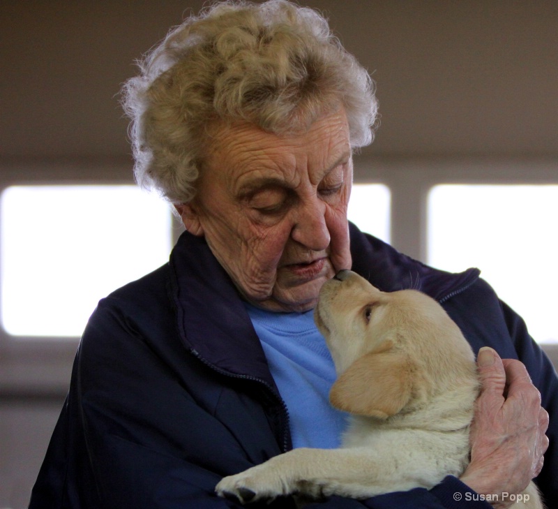 A lady and her dog - ID: 9831017 © Susan Popp