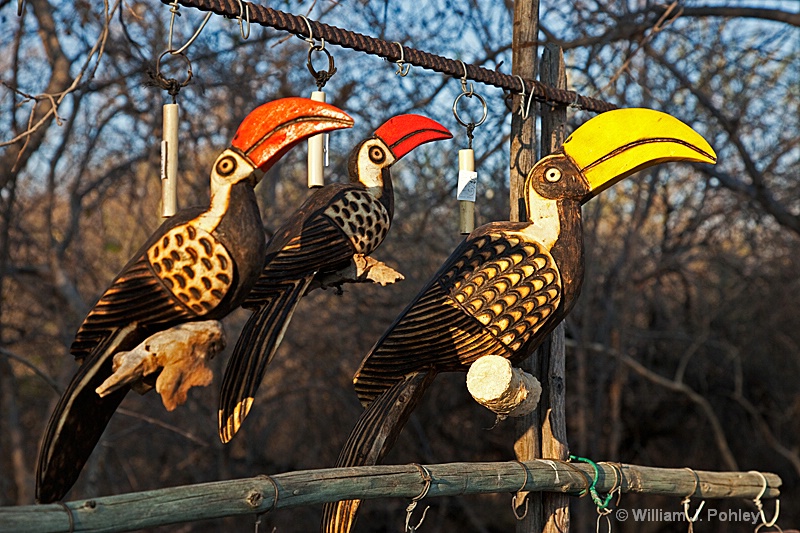 Hornbill Carvings - ID: 9831268 © William J. Pohley