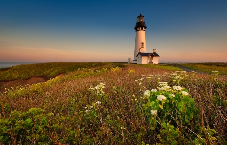 A Yaquina Morning