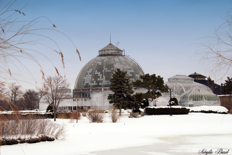 Winter Day at Belle Isle - ID: 9833199 © Sibylle Basel