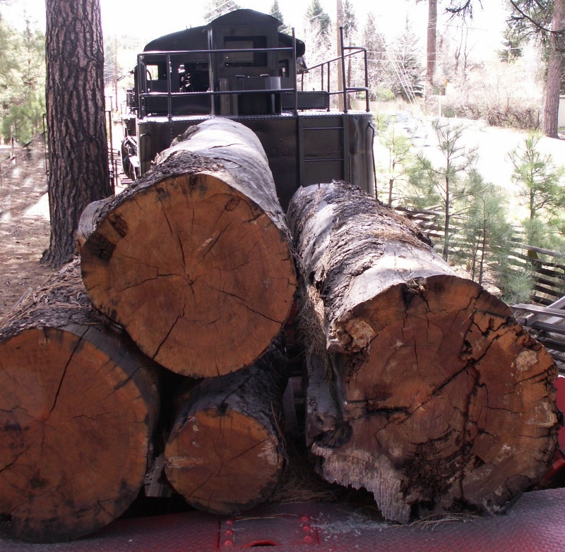 Logs on train