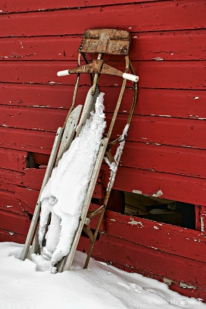 Sled on Red #2