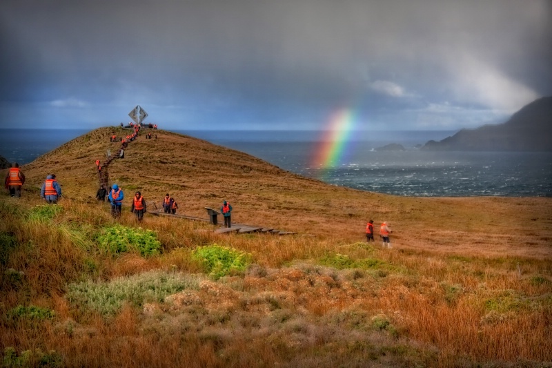Mystical Cape Horn - ID: 9839121 © Karen Celella