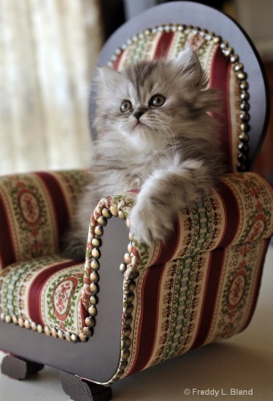 Cookies and Milk, Please....