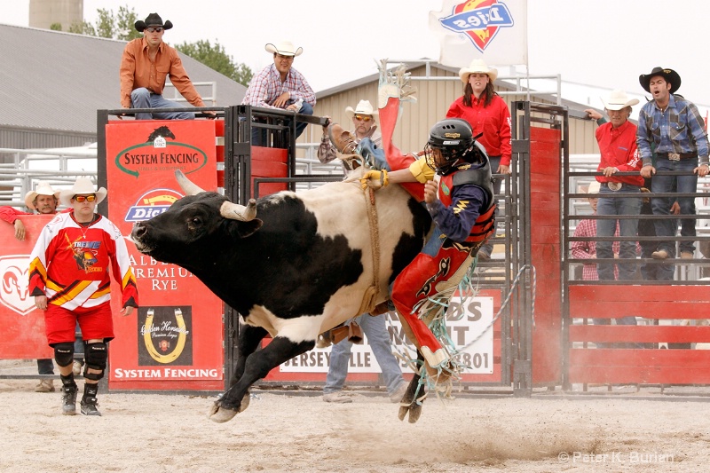 Rodeo, bull riding 