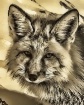 Leo the Fox
