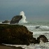 © Lisa Ann Cyphers PhotoID # 9857152: San Simeon before the storm