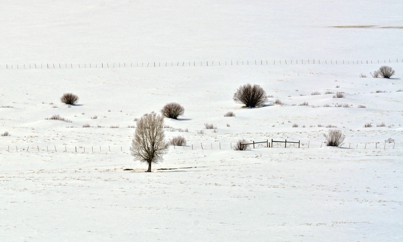 winter simplicity