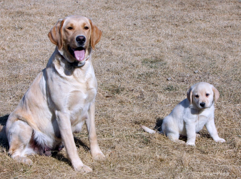 Mother and Son