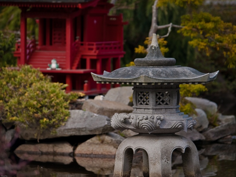 ~Japanese Garden~