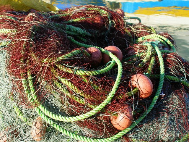 Drying nets