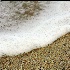 © Karen E. Michaels PhotoID # 9874787: encroaching