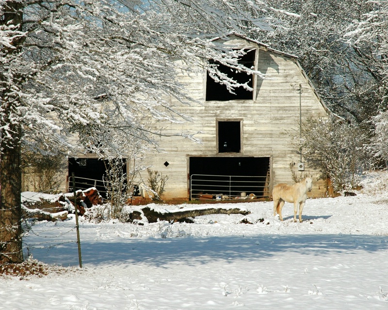 Barn in Snow.