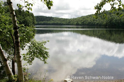 Silver Lake SP - ID: 9877250 © Raven Schwan-Noble