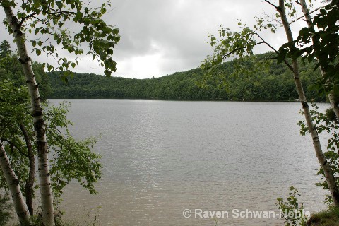 Silver Lake SP (09) - ID: 9877257 © Raven Schwan-Noble