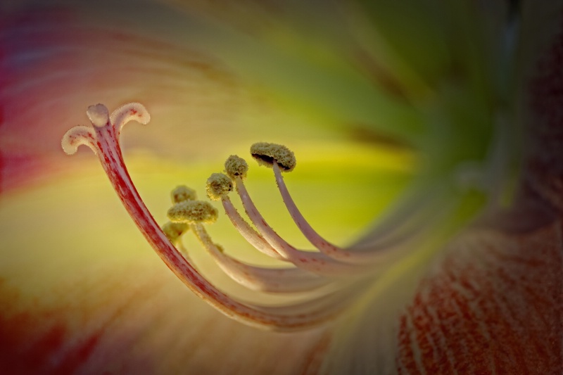 Inner Glow
