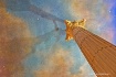 Shooting Star  