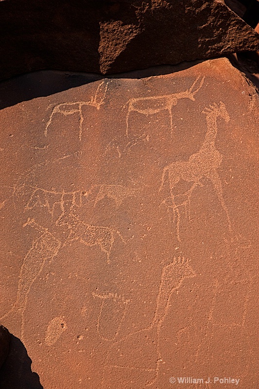 Rock Carvings, Twyfelfontein Conservancy - ID: 9878940 © William J. Pohley