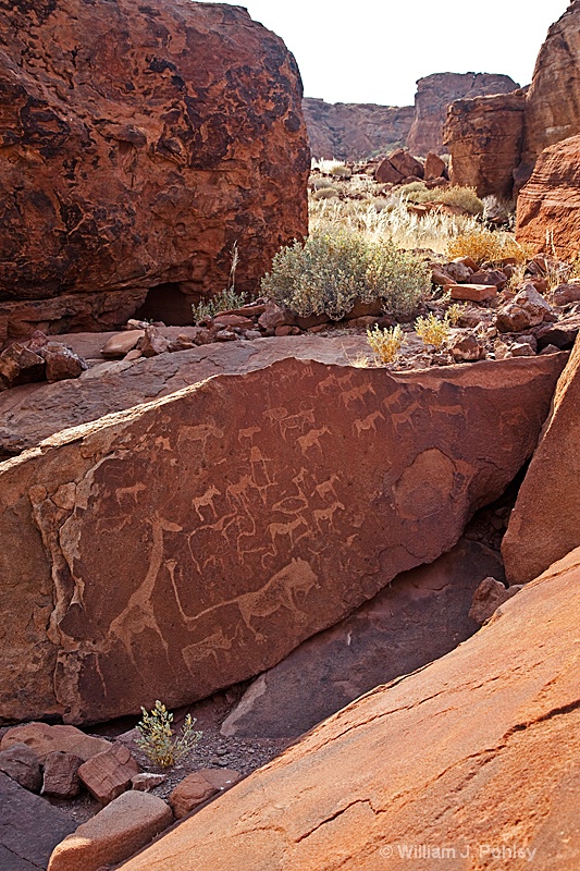 Rock Carvings, Twyfelfontein Conservancy - ID: 9878941 © William J. Pohley