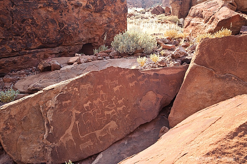 Rock Carvings, Twyfelfontein Conservancy - ID: 9878942 © William J. Pohley