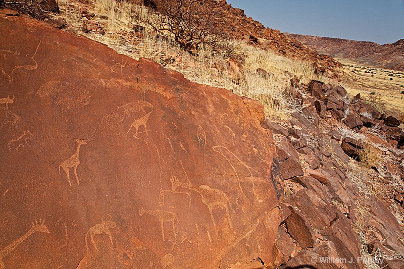 Rock Carvings, Twyfelfontein Conservancy - ID: 9878944 © William J. Pohley