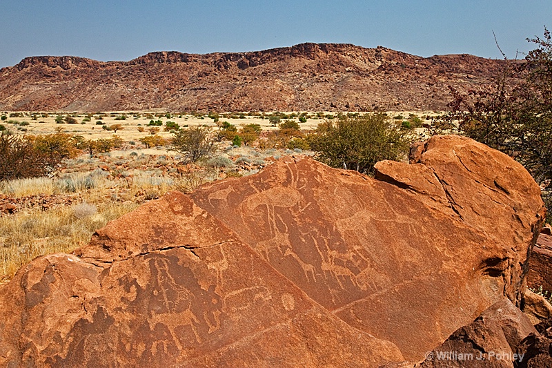 Rock Carvings, Twyfelfontein Conservancy - ID: 9878945 © William J. Pohley