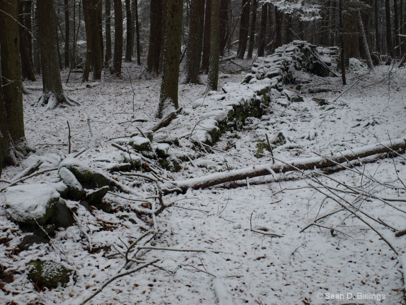 Winter in Pennsylvania