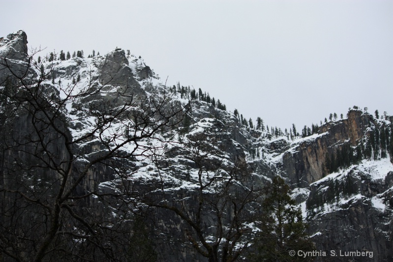 Winter Wonderland - Yosemite, CA