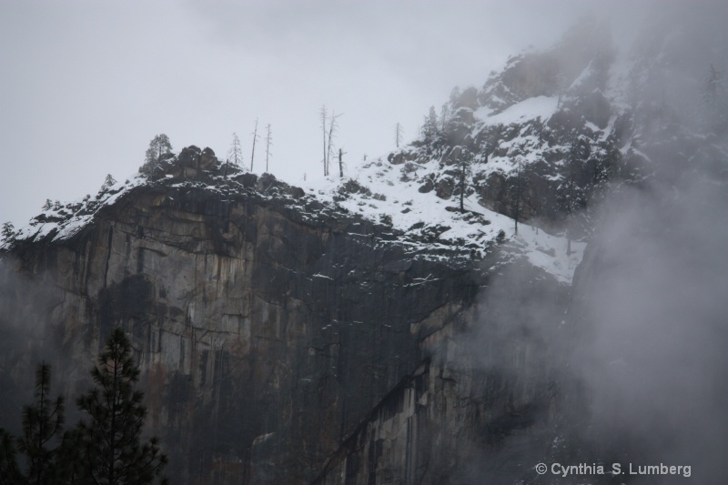 Winter's Chill - Yosemite, CA - ID: 9882289 © Cynthia S. Lumberg