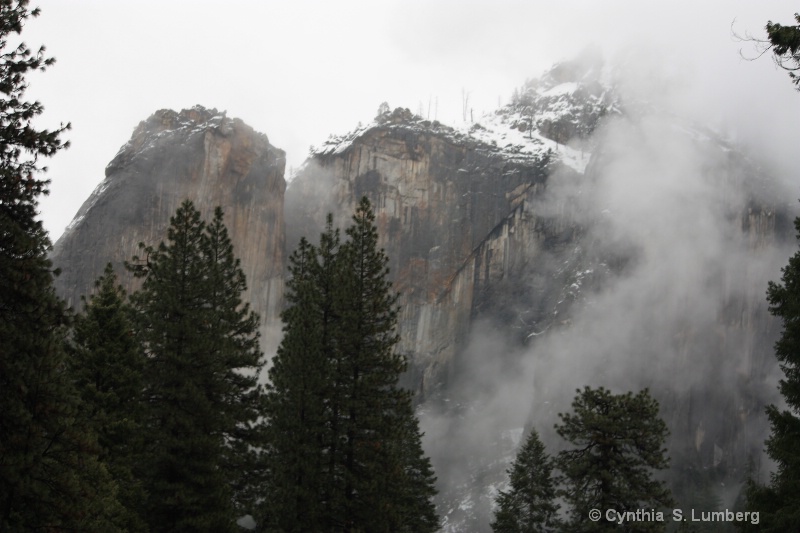 Winterland - Yosemite, CA - ID: 9882291 © Cynthia S. Lumberg