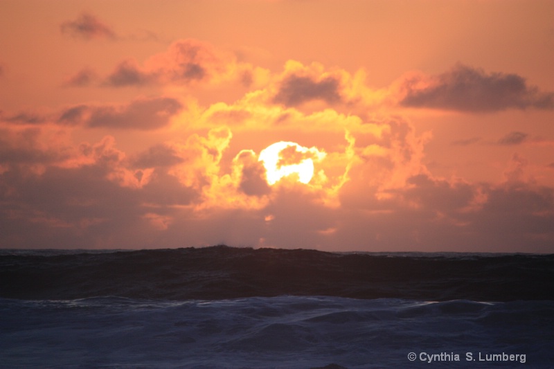 Solar Flair 1 - ID: 9885640 © Cynthia S. Lumberg