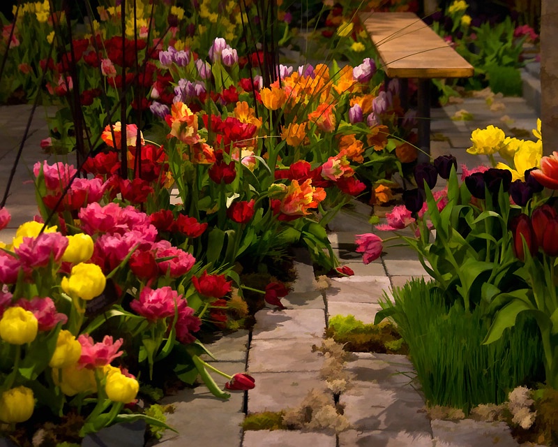Tulip Path