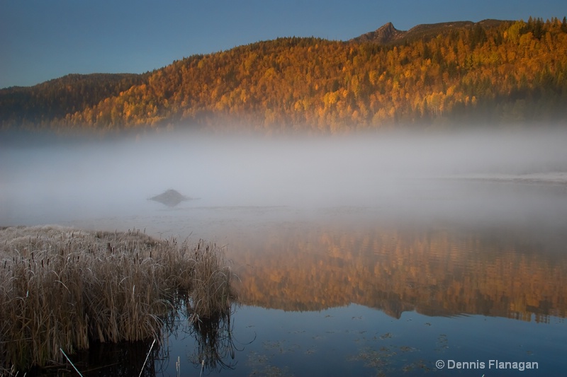 Autumn Morning