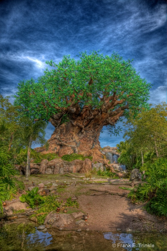 Evil Tree