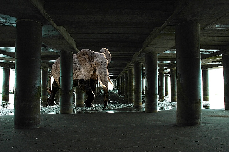 Under The Boardwalk