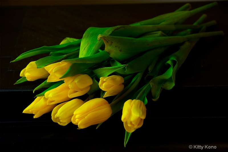 Yellow Tulips - ID: 9922986 © Kitty R. Kono