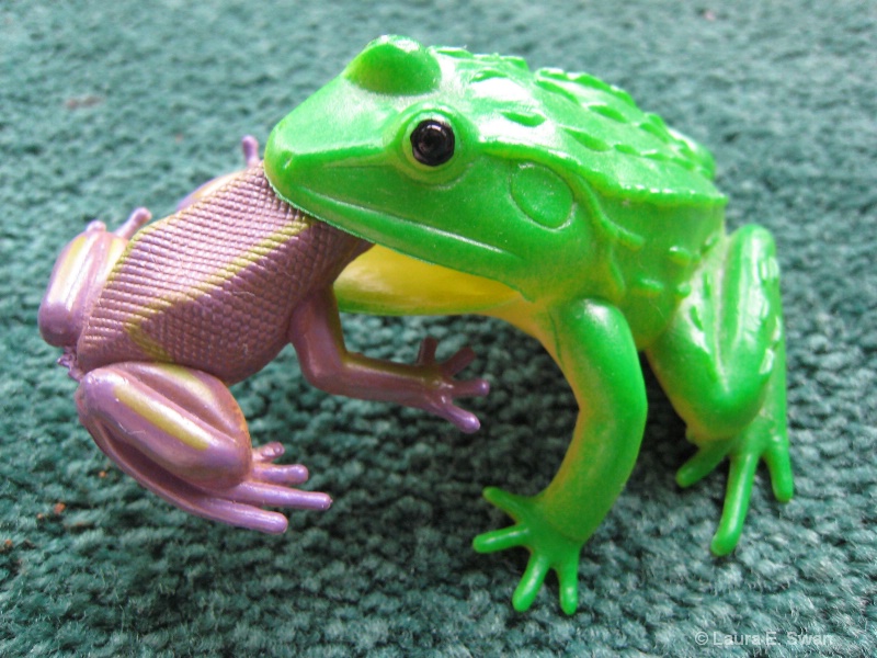 img7