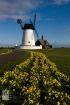 Spring has Sprung
