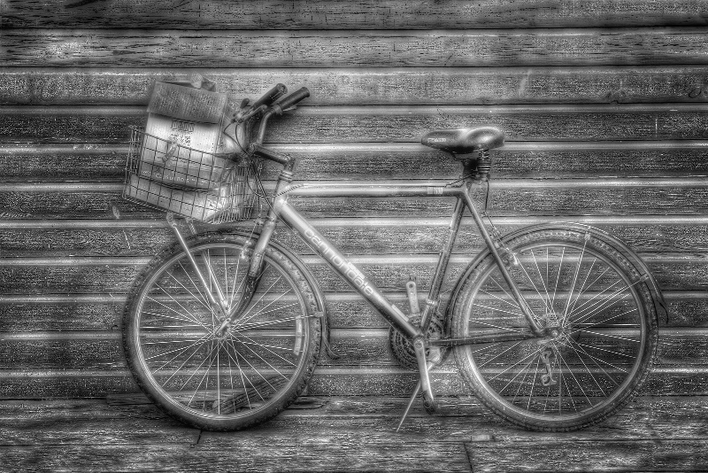 Rental Bike - ID: 9939571 © Robert A. Burns