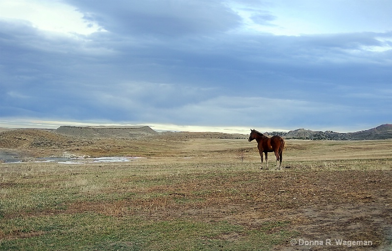 Starkness of Wyoming