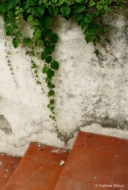 img7
