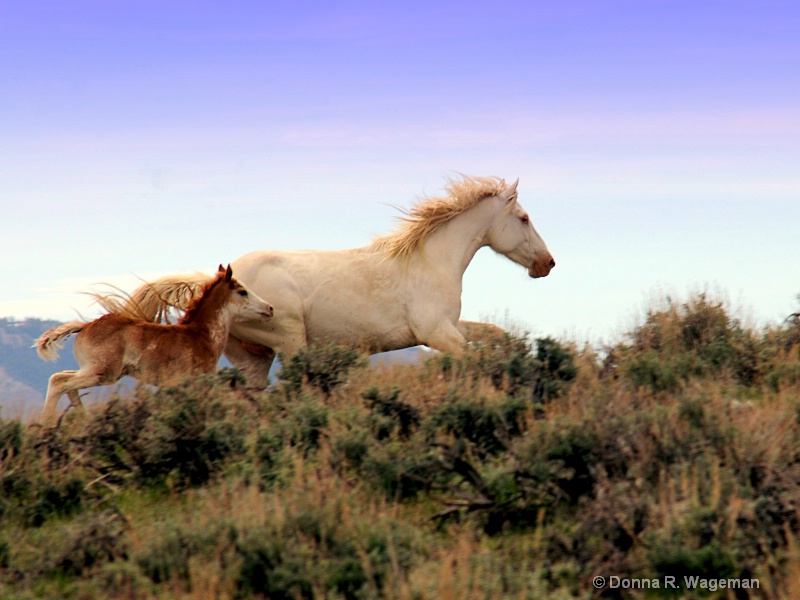 Running Free