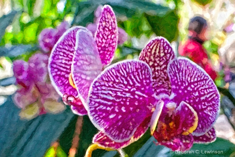 Painted Orchids - ID: 9946891 © Deborah C. Lewinson