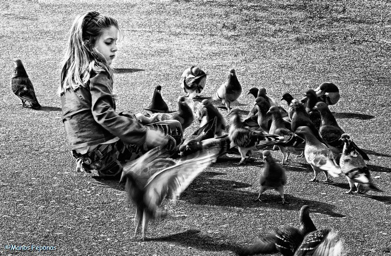 feeding the pigeons