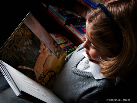 young reader 